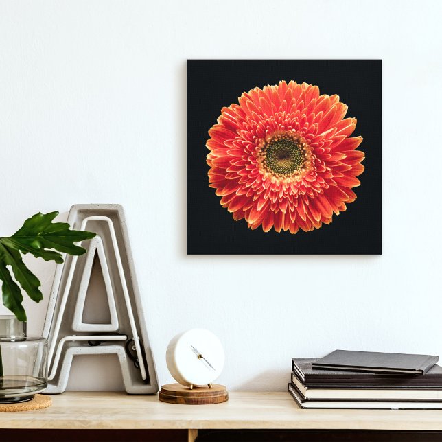 Blumen | Orange Gerbera Daisy Leinwanddruck (Von Creator hochgeladen)