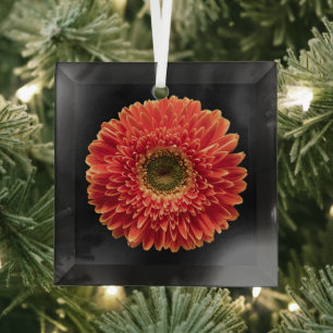 Blumen   Orange Gerbera Daisy Ornament Aus Glas