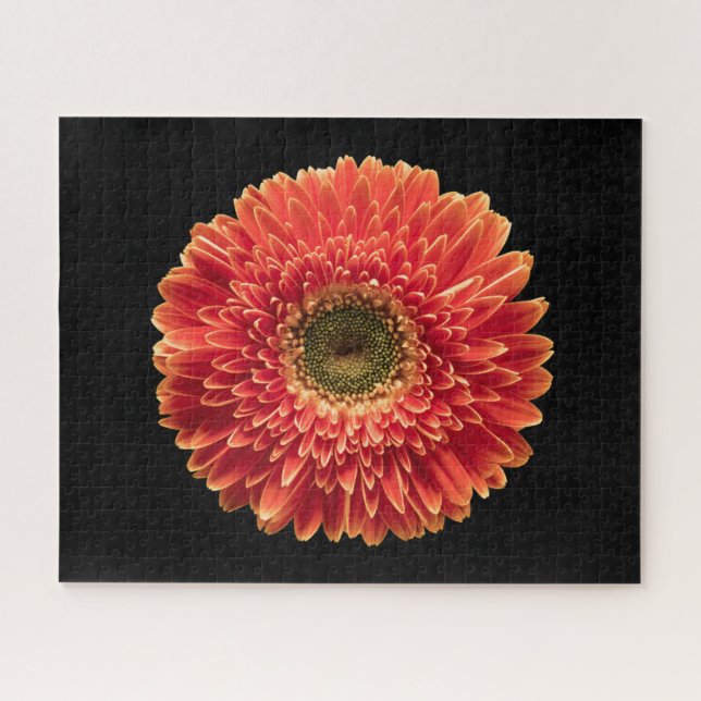 Blumen | Orange Gerbera Daisy Puzzle (Horizontal)