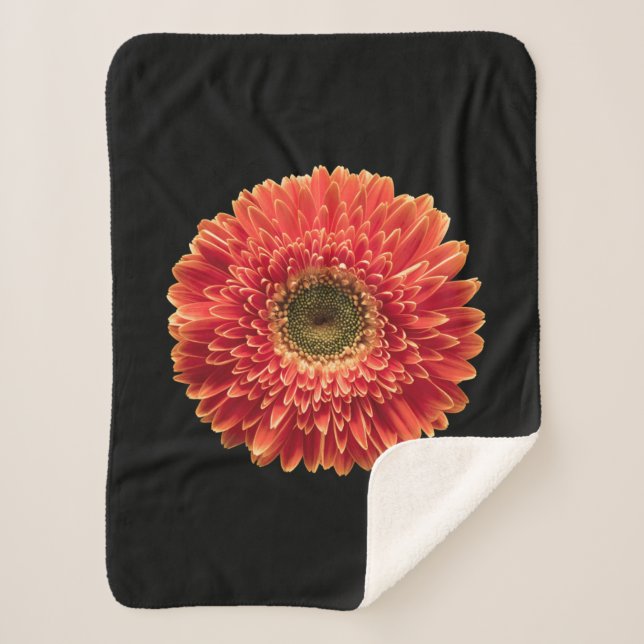 Blumen | Orange Gerbera Daisy Sherpadecke (Vorderseite)