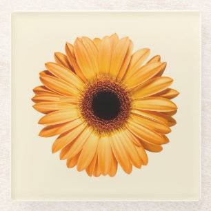 Blumen Orange Gerbera Glasuntersetzer