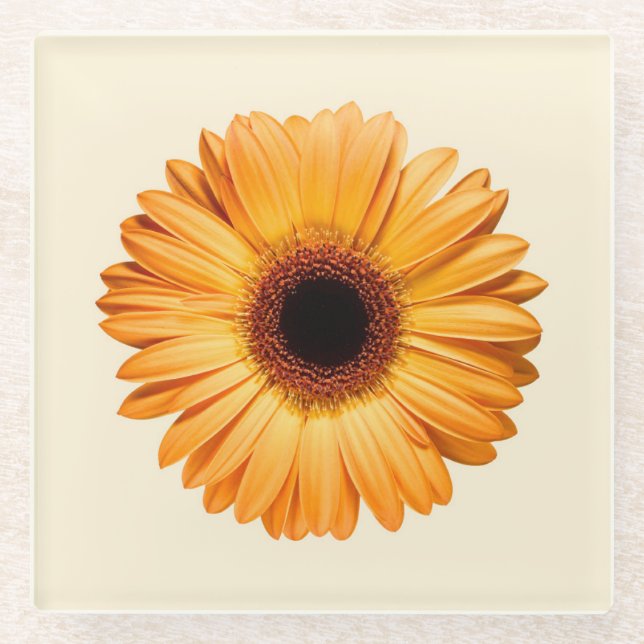 Blumen | Orange Gerbera Glasuntersetzer (Vorderseite)