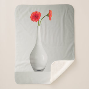 Blumen Orange Gerbera in Vase Sherpadecke