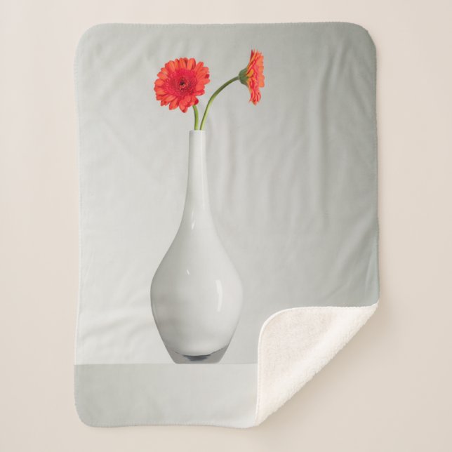 Blumen | Orange Gerbera in Vase Sherpadecke