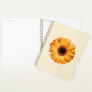 Blumen Orange Gerbera Planer