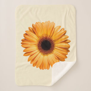 Blumen   Orange Gerbera Sherpadecke