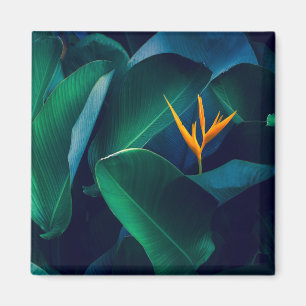 Blumen Paradiesvogel Magnet