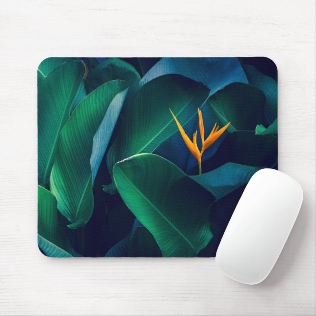 Blumen | Paradiesvogel Mousepad (Mit Mouse)