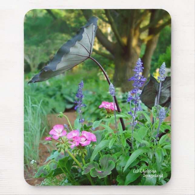 Blumen-Pelargonien Mousepad (Vorne)