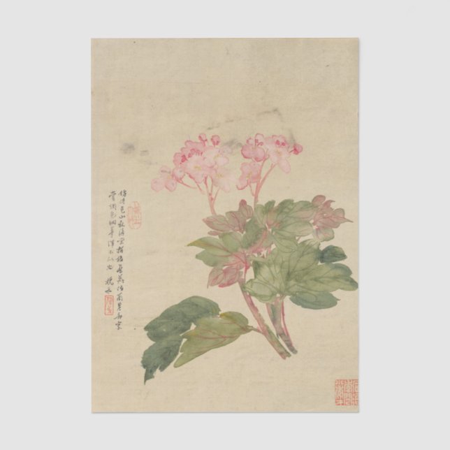 Blumen Pl. 09 von Liang Yuwei Seidenpapier (Vorderseite)