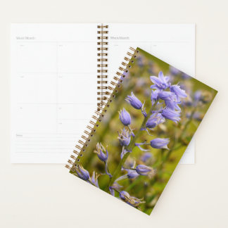 Blumen Planer