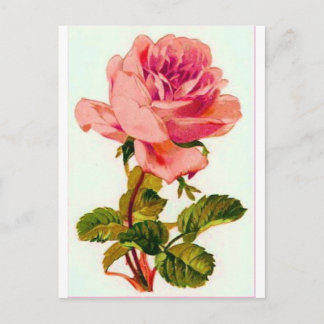 Blumen Postkarte