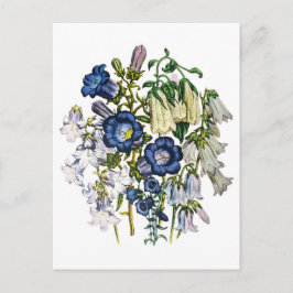 Blumen Postkarte