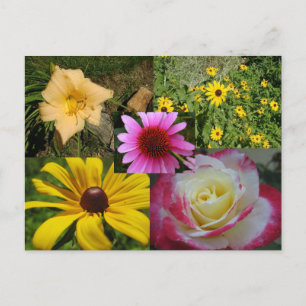 Blumen Postkarte
