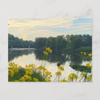 Blumen Postkarte