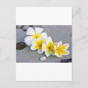 Blumen Postkarte