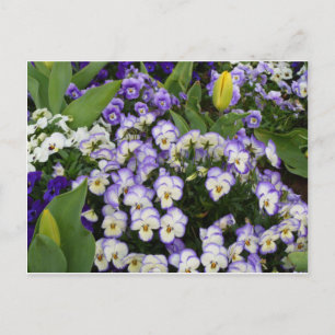 Blumen-Postkarte Postkarte