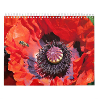 Blumen-Power Kalender
