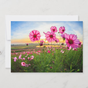 Blumen  Provinz Chiang Rai, Thailand Dankeskarte