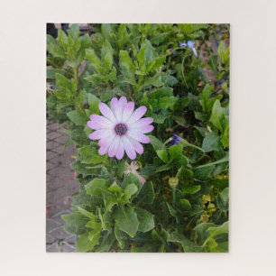 Blumen puzzle