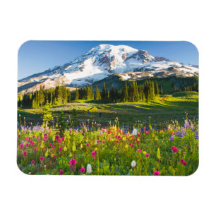 Blumen   Rainier-Wildblumen Magnet