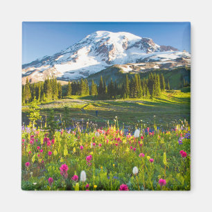 Blumen   Rainier-Wildblumen Magnet