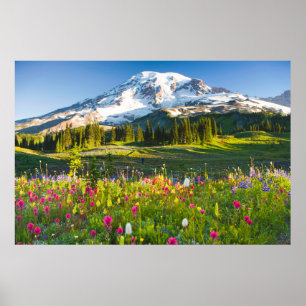 Blumen   Rainier-Wildblumen Poster