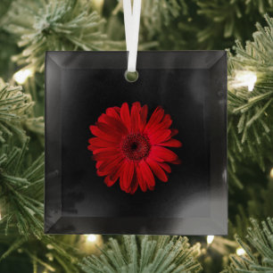 Blumen Red Gerbera Daisy Ornament Aus Glas