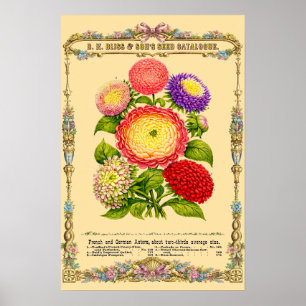 Blumen Retro Viktorianische Botanische Kunst Poster