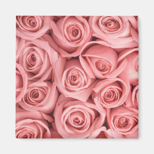 Blumen   Rosa Rosen Magnet