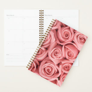 Blumen   Rosa Rosen Planer