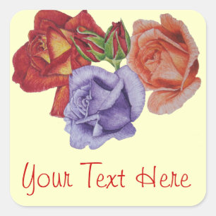 Blumen-Rosen- und Rosenknospenblumenkunst Quadratischer Aufkleber