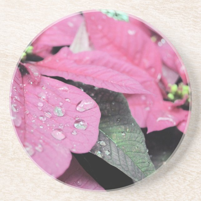 Blumen Sandstein Untersetzer (Vorne)