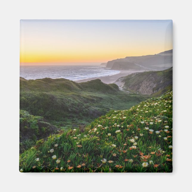 Blumen | Santa Cruz Kalifornien Magnet (Vorne)