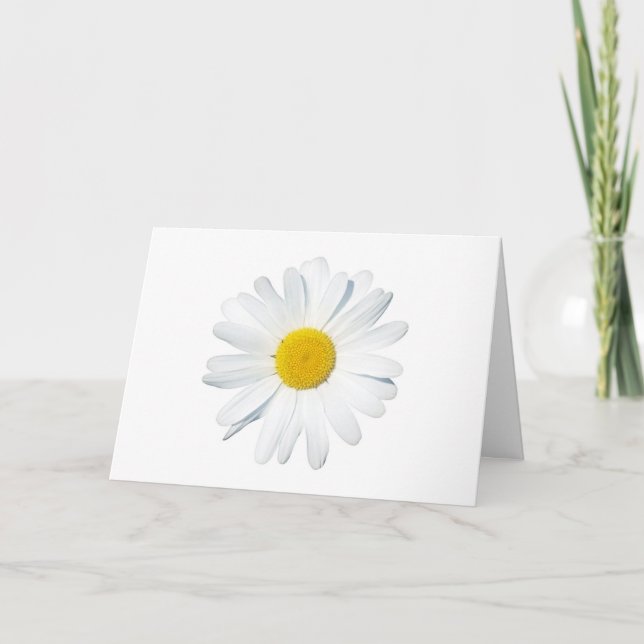 Blumen | Single Daisy Karte (Vorderseite)