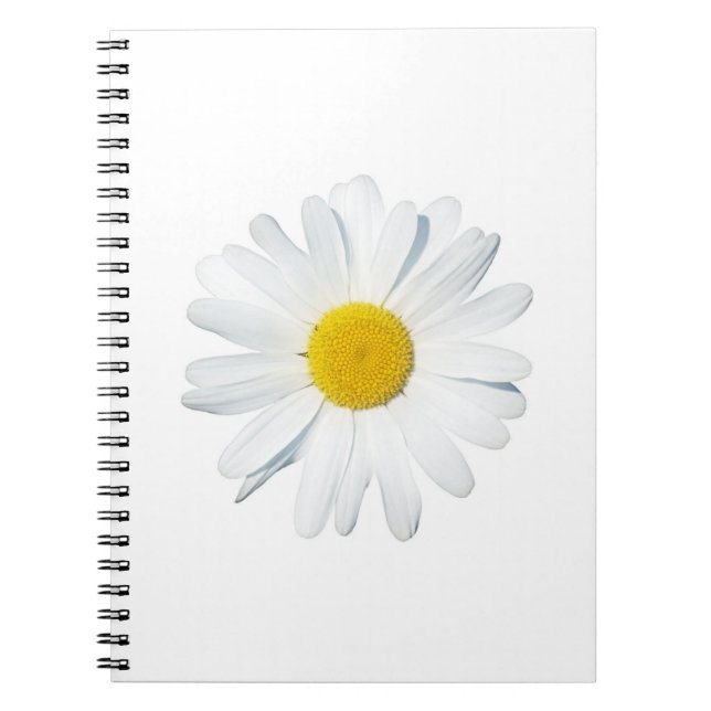 Blumen | Single Daisy Notizblock (Vorderseite)