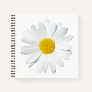 Blumen   Single Daisy Notizbuch