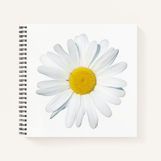 Blumen | Single Daisy Notizbuch (Vorderseite)