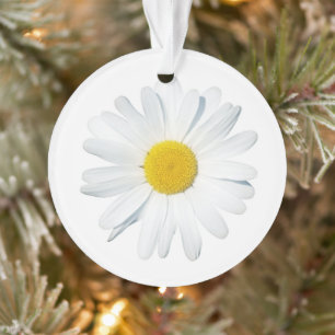 Blumen   Single Daisy Ornament