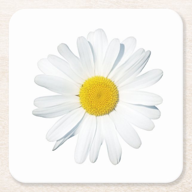 Blumen | Single Daisy Rechteckiger Pappuntersetzer (Vorderseite)