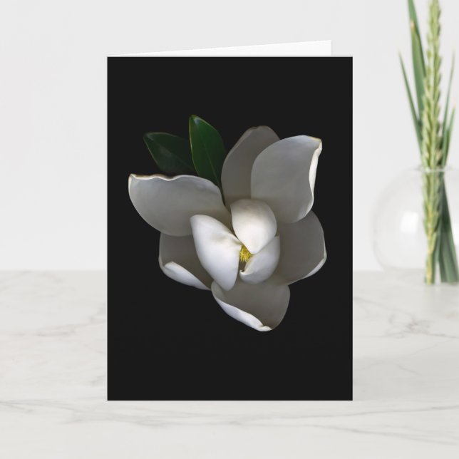 Blumen | Single White Magnolia Blossom Karte (Vorderseite)