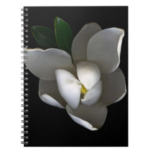 Blumen   Single White Magnolia Blossom Notizblock