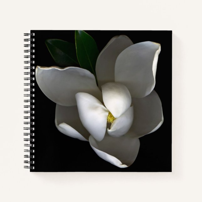 Blumen | Single White Magnolia Blossom Notizbuch (Vorderseite)