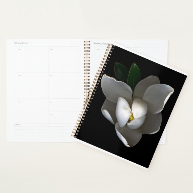 Blumen | Single White Magnolia Blossom Planer (Anzeige)