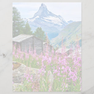 Blumen   Sommermatterhorn Schweiz