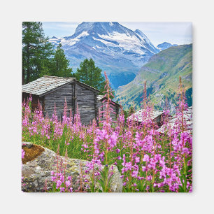 Blumen Sommermatterhorn Schweiz Magnet