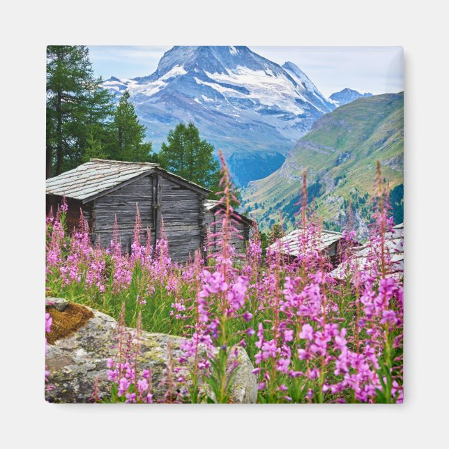 Blumen | Sommermatterhorn Schweiz Magnet (Vorne)