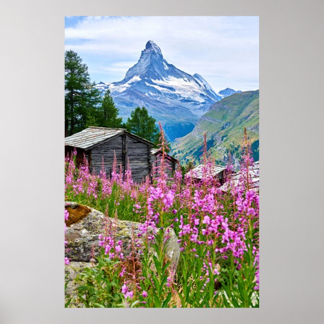 Blumen | Sommermatterhorn Schweiz Poster (Vorne)