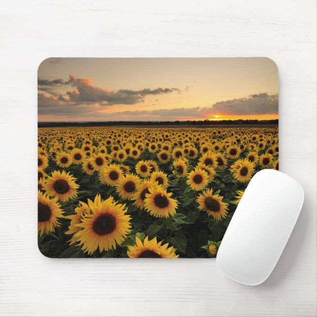Blumen | Sonnenblumenfeld Mousepad (Mit Mouse)