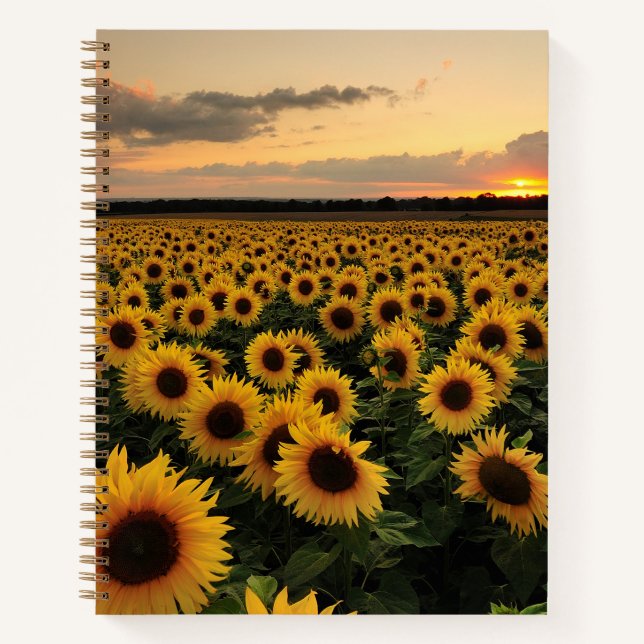 Blumen | Sonnenblumenfeld Notizbuch (Vorderseite)